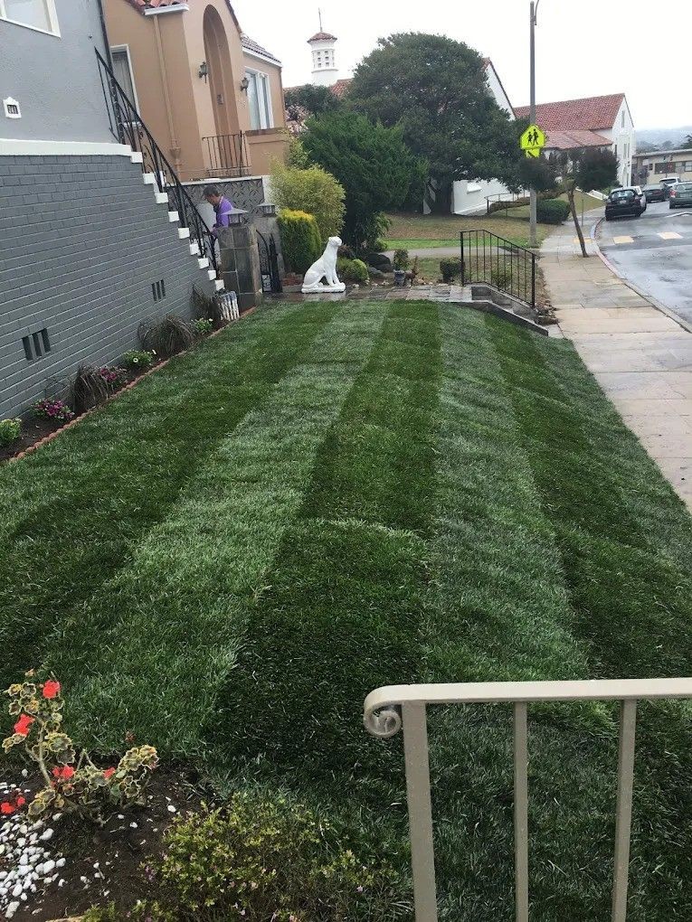 Expert Lawn Maintenance