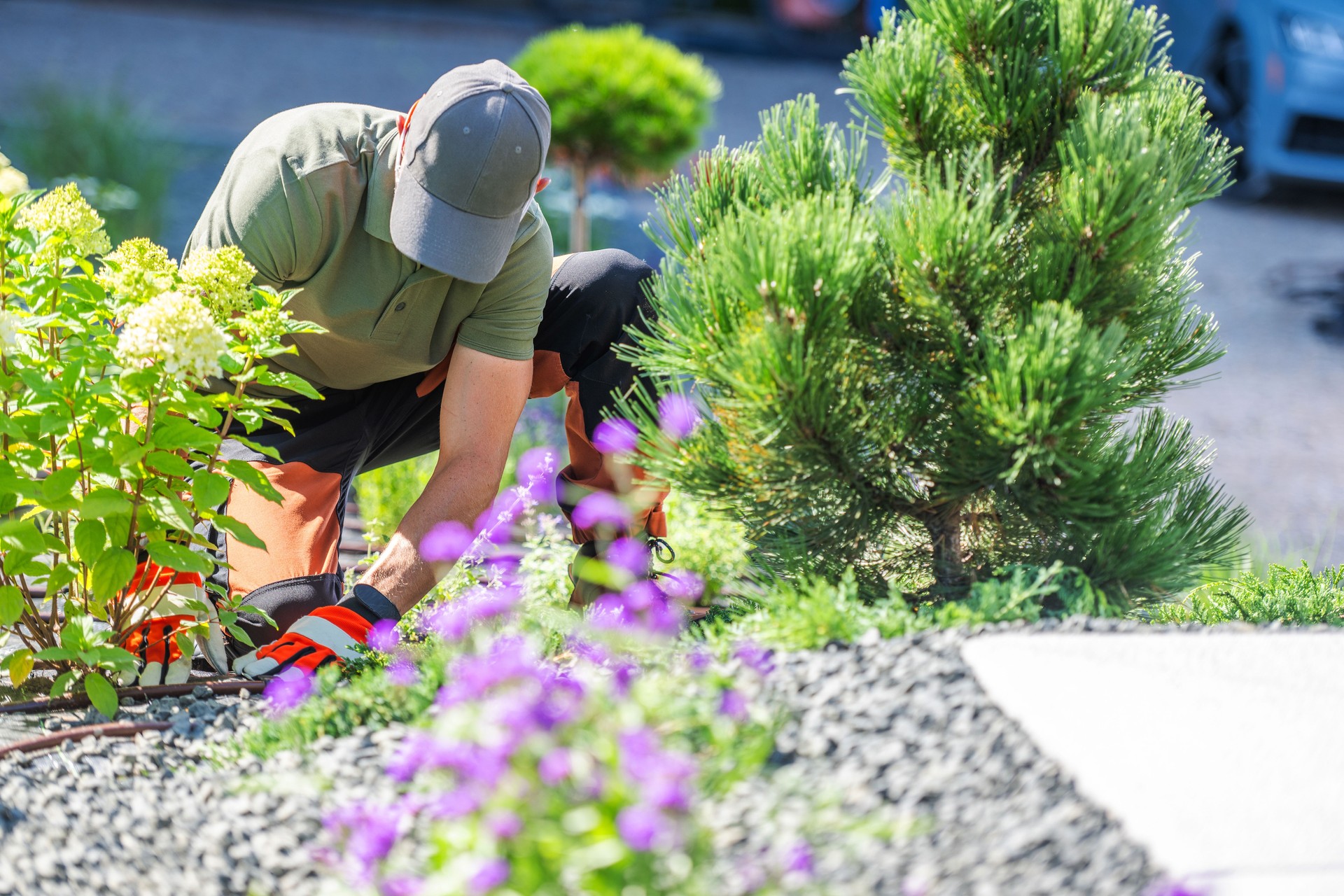 Man Gardening in a Colorful Landscape on a Sunny Day